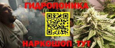 трава Обь