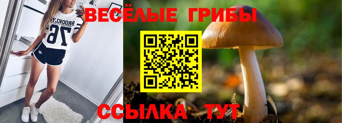 Псилоцибиновые грибы GOLDEN TEACHER Сердобск
