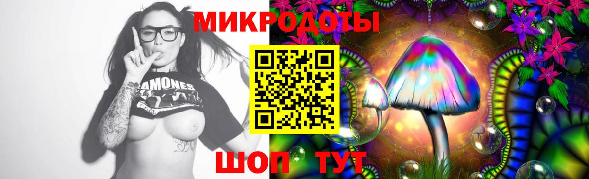 Сердобск  Псилоцибиновые грибы мицелий  Вход с VPN 